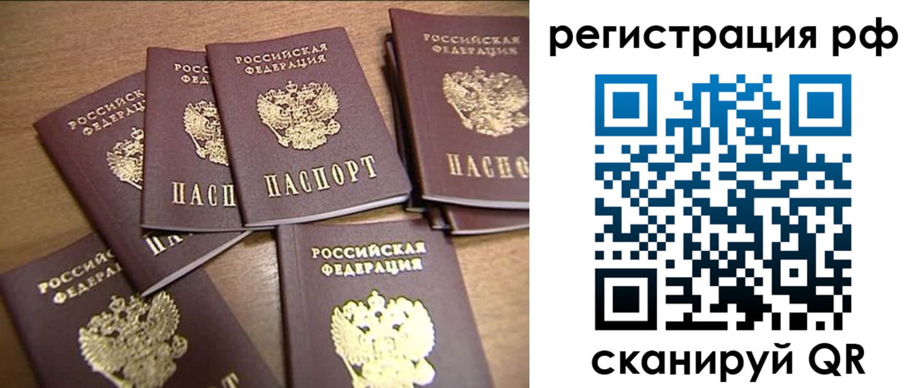 найти адрес прописки в Стародубе